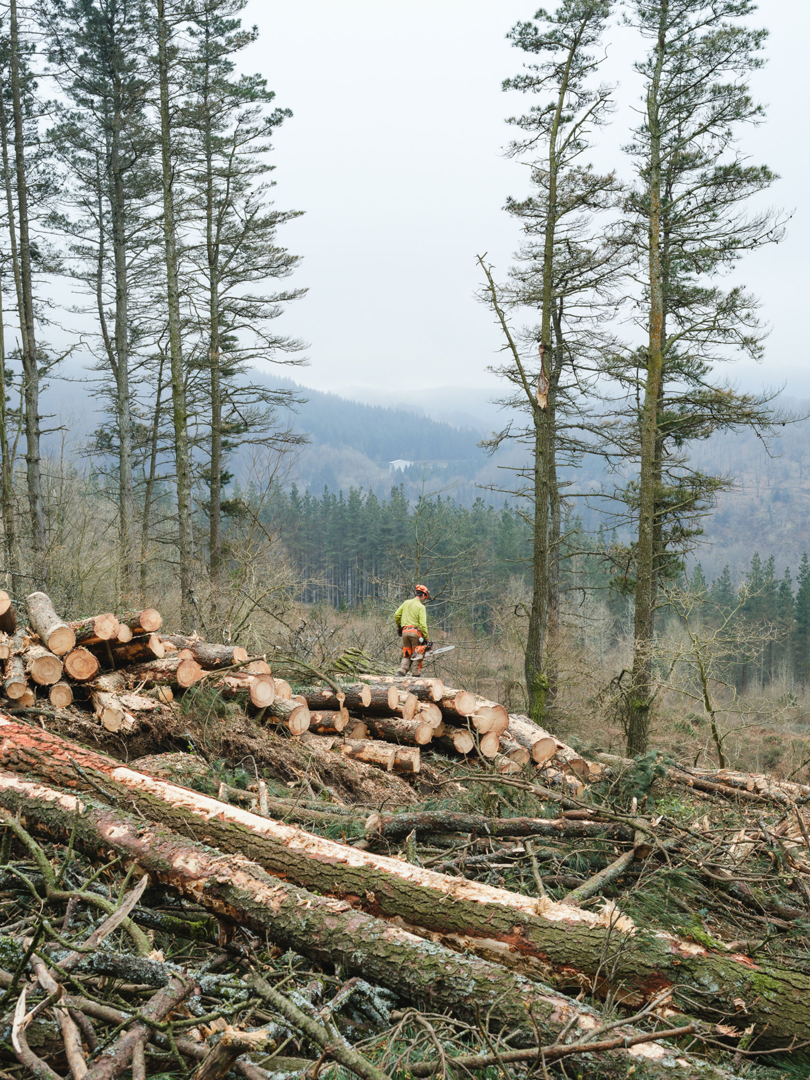 Materials hall. Photograph by María Azkarate.