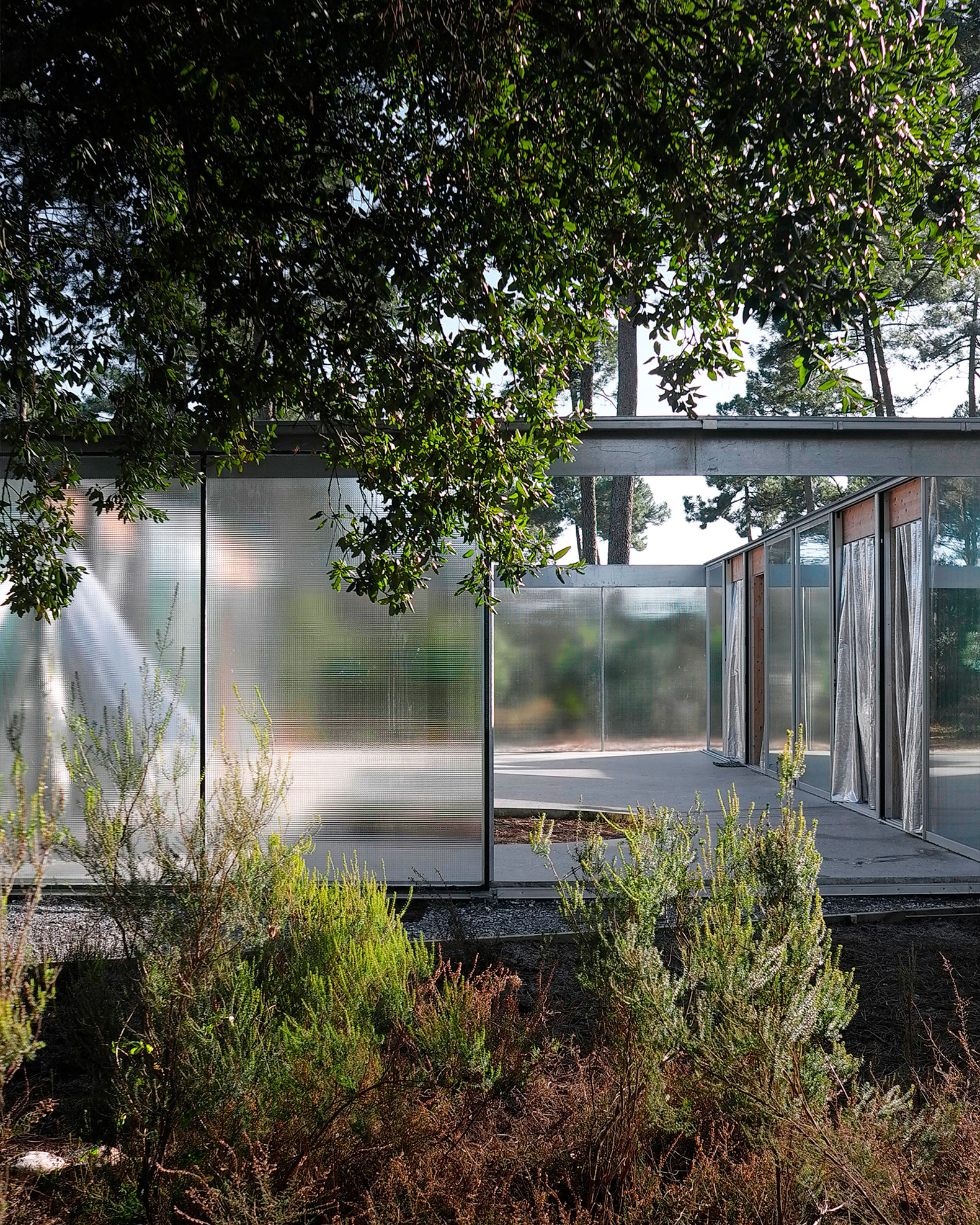 M37 house in Contis by Bast + Littoral. Photograph by Bast.