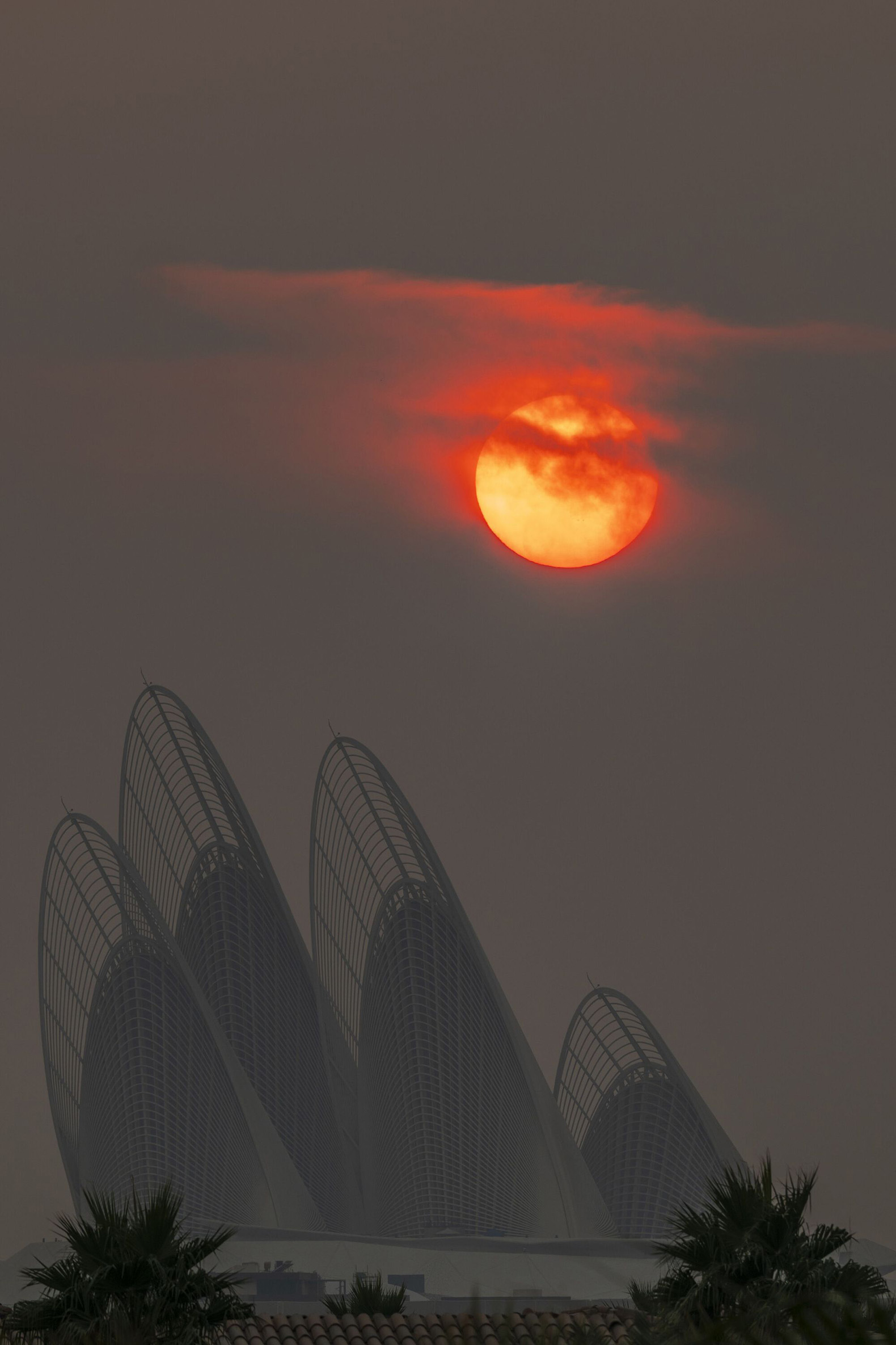 Zayed National Museum by Foster + Partners. Photograph by Nigel Young.  Museo Nacional Zayed por Foster + Partners. Fotografía por Nigel Young.
