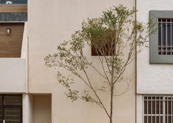 Emma House por HW STUDIO. Fotografía por César Béjar