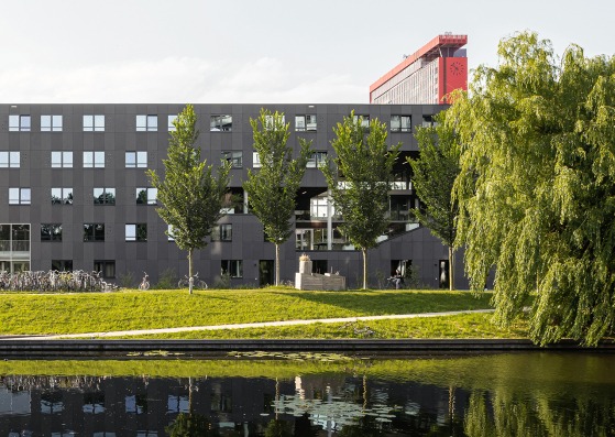 Suite 9 por Studioninedots. Fotografía por Sebastian van Damme