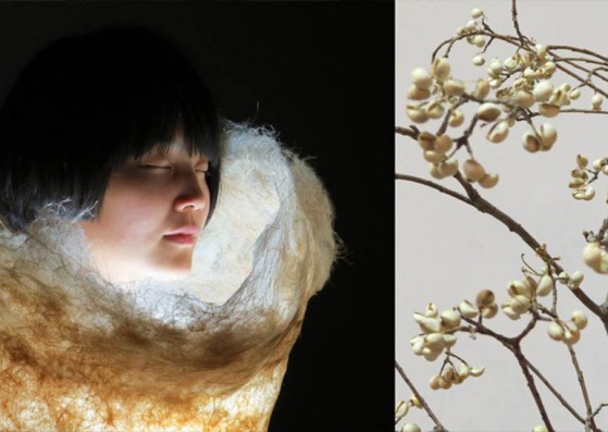 Images from COEXISTENCE. 共生. Musa textilis, by Iván Juárez