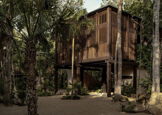 Boca de Agua Hotel by Taller Frida Escobedo. Courtesy of Boca de Agua. Photograph by César Béjar