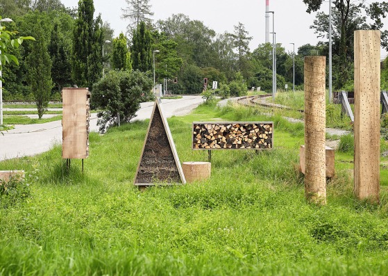 Insect City by Iván Juárez. Phtograph by Gregor Graf