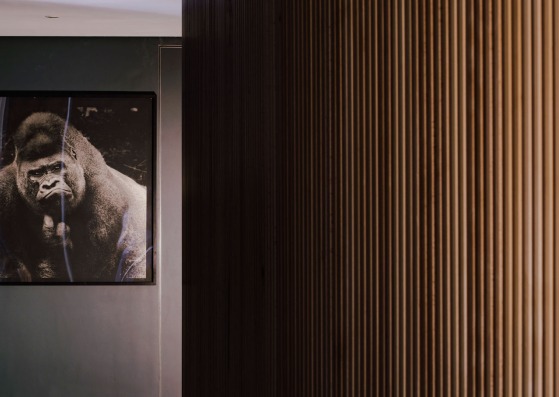 Psych office by Blanca Lleó. Photograph by Imagen Subliminal