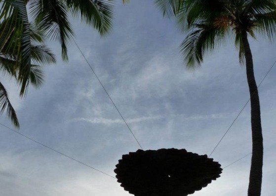 Amêndoa, suspended leaves. Detalle de la instalación. Fotografía cortesía de Iván JuárezAmêndoa, suspended leaves. Photography installation. Courtesy of Iván Juárez