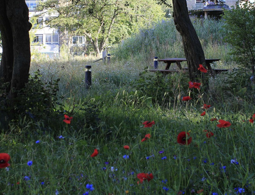 Grønningen-Bispeparken by SLA. Photograph by Philip von Platen