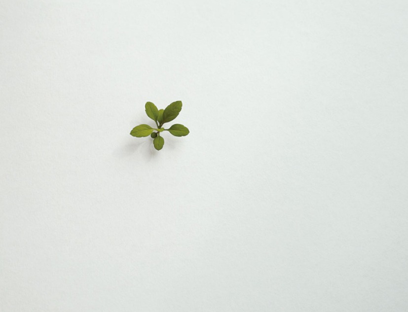 Suda Yoshihiro in London