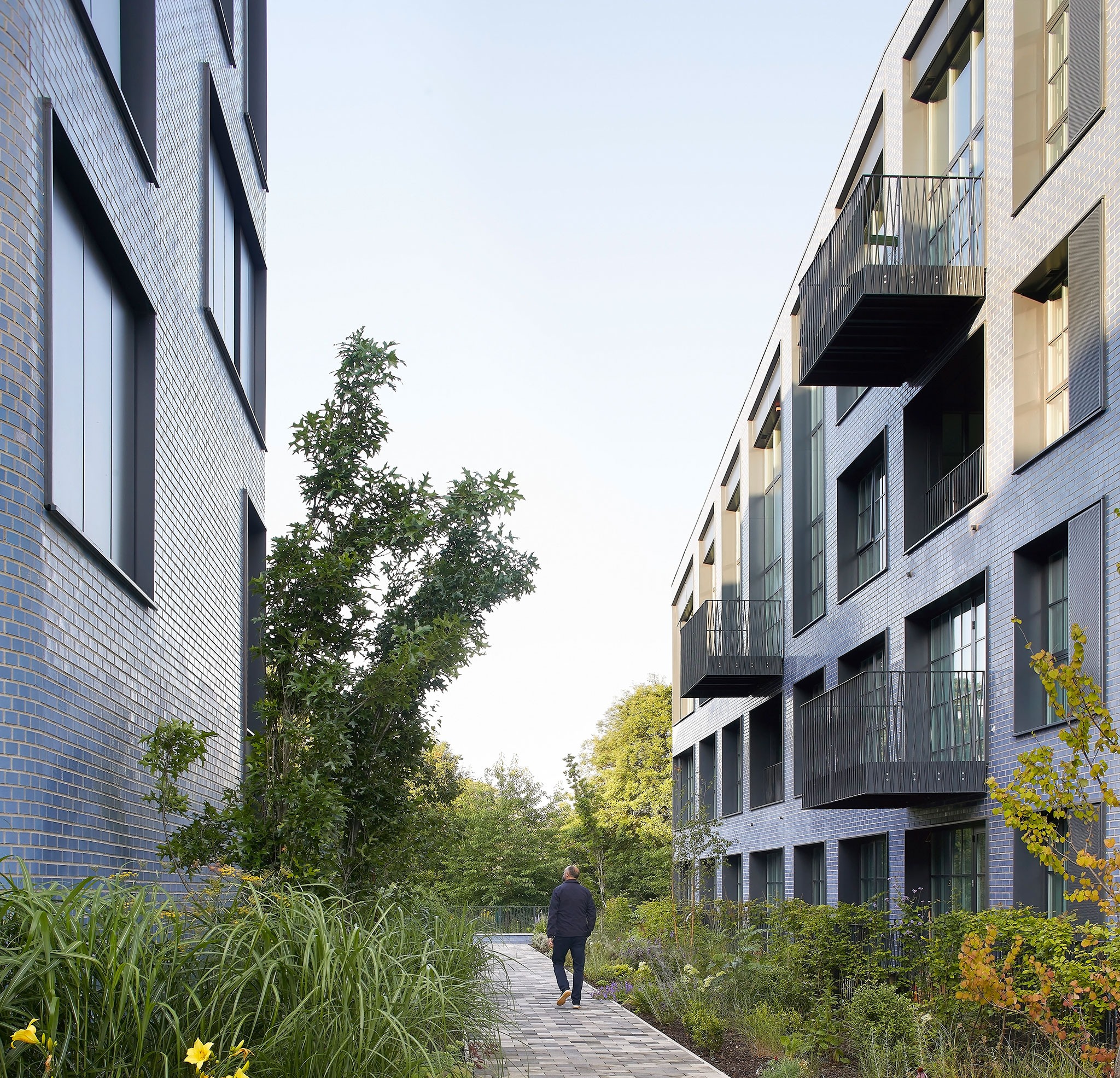 Rubicon by Alison Brooks Architects. Photograph by Hufton + Crow. Rubicon by Alison Brooks Architects. Photograph by Hufton + Crow.