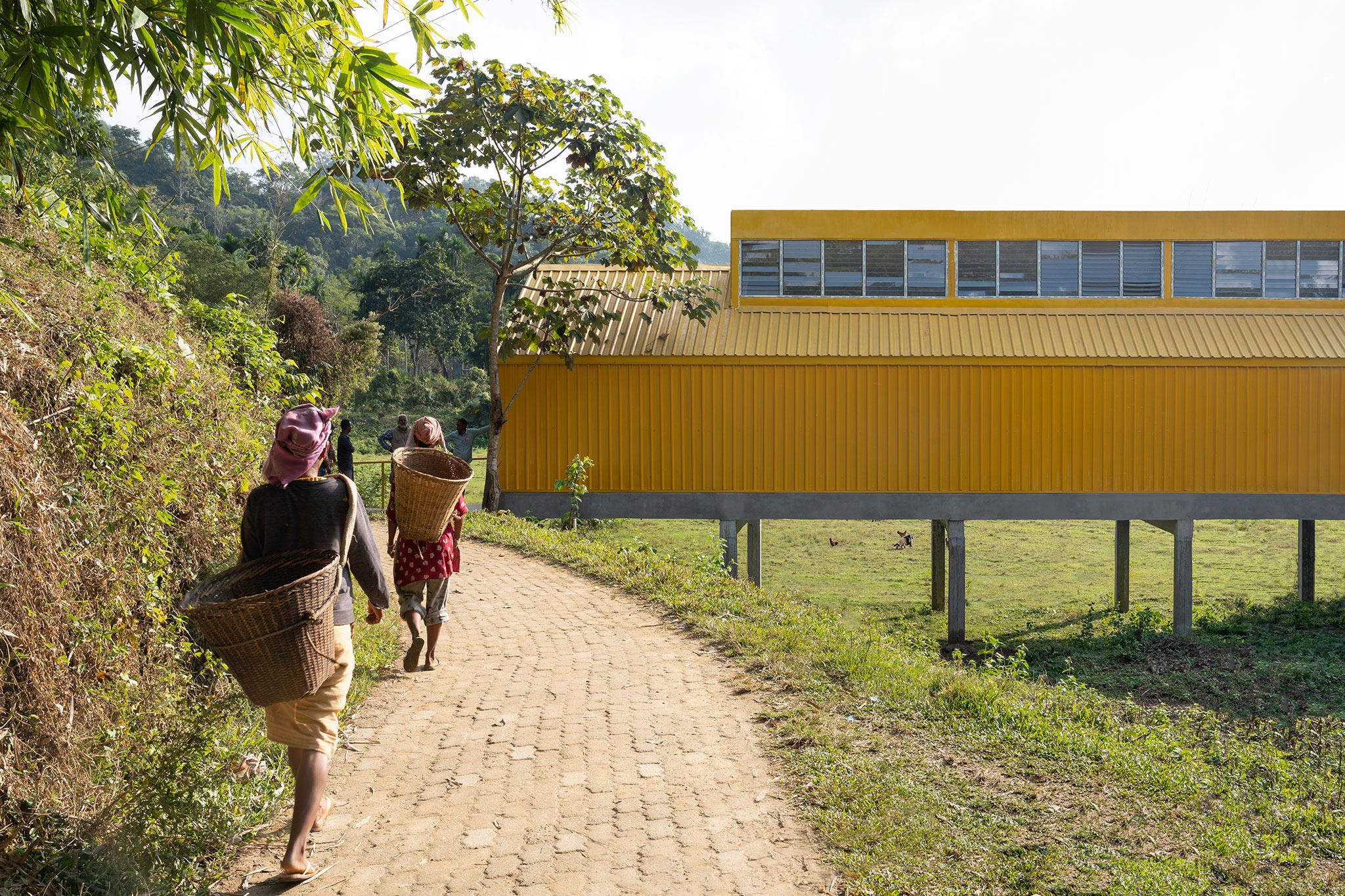 Jackfruit processing unit and community centre by atArchitecture. Photograph by Avneesh Tiwari.