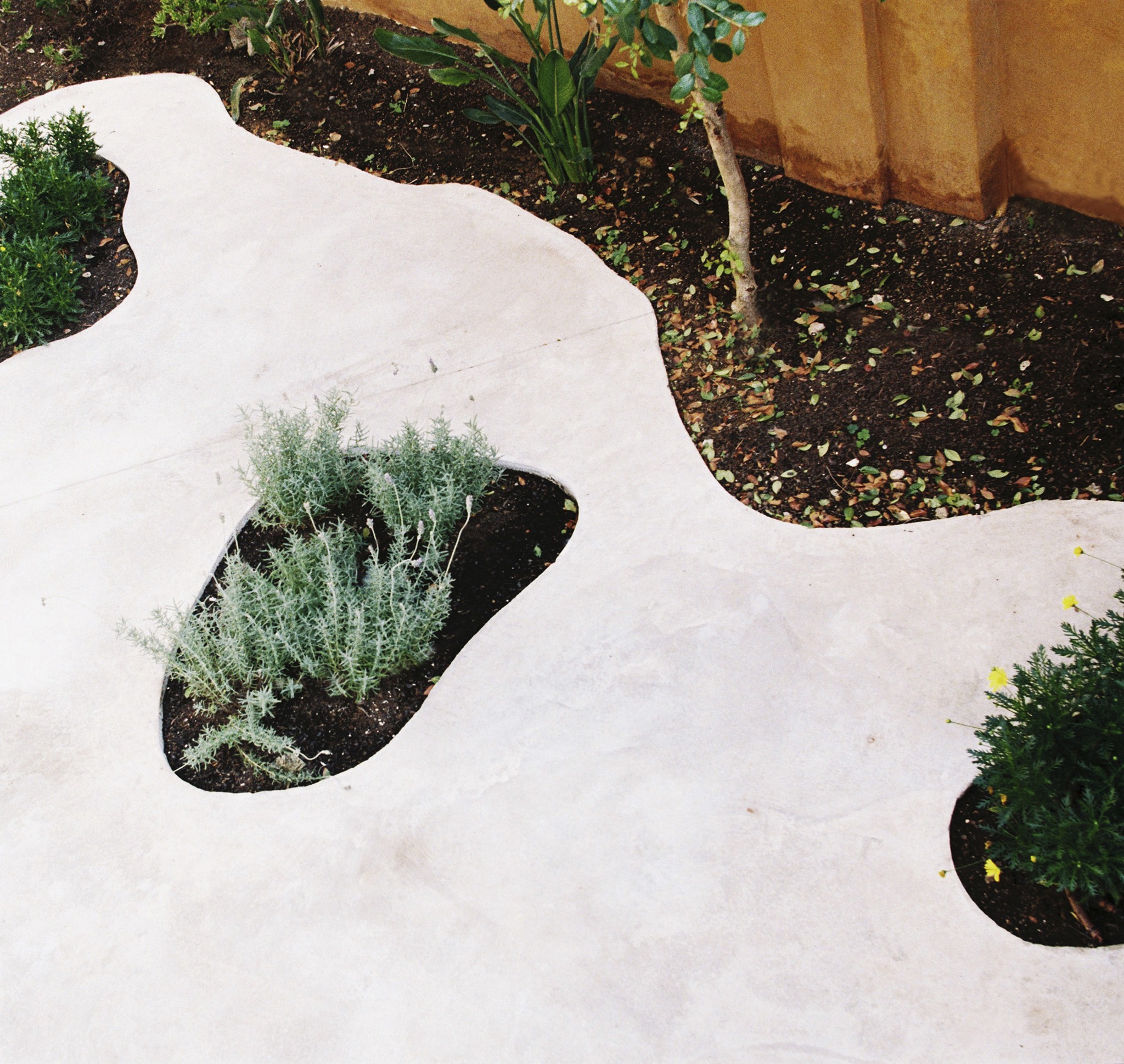 Garden in the Clouds by H3o architects. Photograph by Anna Ruiz Planella / Marc Huguet Viola (Dron).