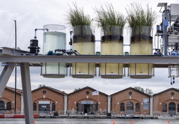 Canal Cafè Bar, por Diller Scofidio + Renfro. Fotografía por Marco Zorzanello