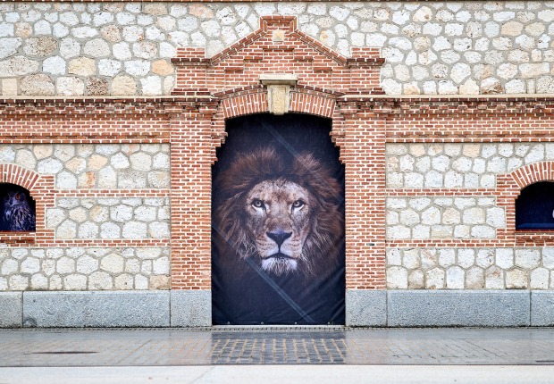 «The Animals» por Estela de Castro. Fotografía por Fernando Tribiño / Matadero Madrid