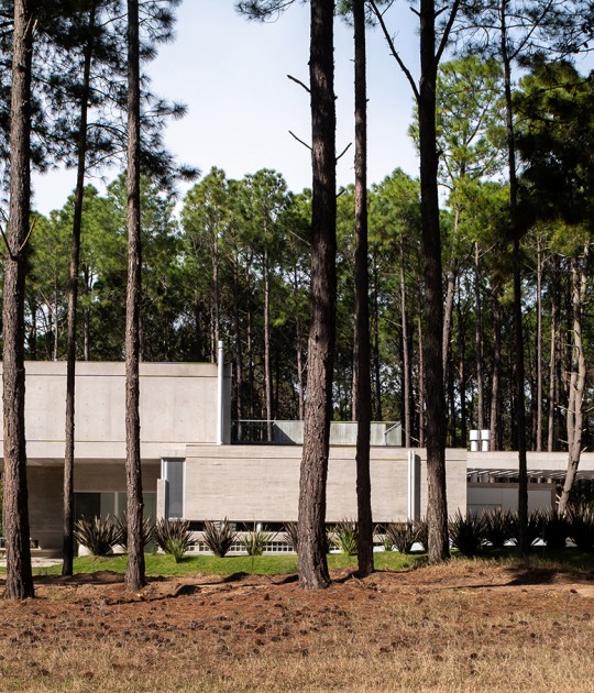 C&G House by Estudio Galera Arquitectura. Photograph by Diego Medina