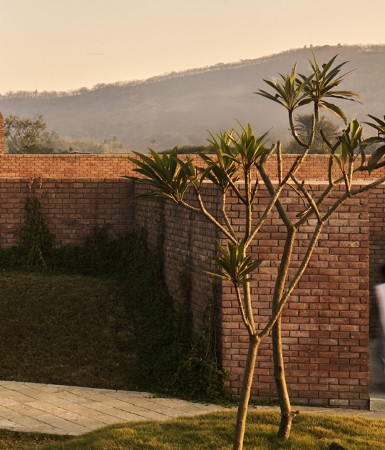 The Street by Studio VDGA. Photograph by Edmund Sumner
