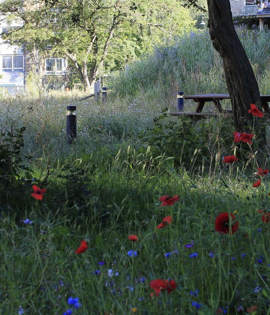 Grønningen-Bispeparken por SLA. Fotografía por Philip von Platen