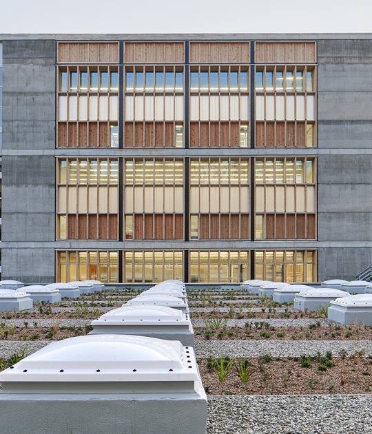 CEM Espronceda por BB Arquitectes + conxita balcells. Fotografía por José Hevia