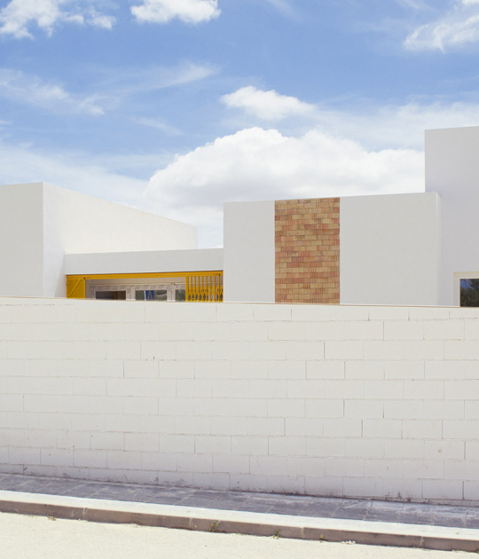 House for a family of Felines and Canines by AFAB. Photography by AFAB