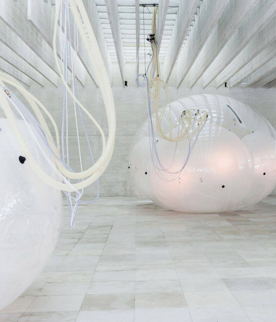 Another Generosity. Nordic Pavilion by Eero Lundén. Photograph by Andrea Ferro