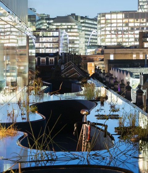 Second Home Spitalfields Extensión Rooftop Space by SelgasCano. Photograph © Iwan Baan