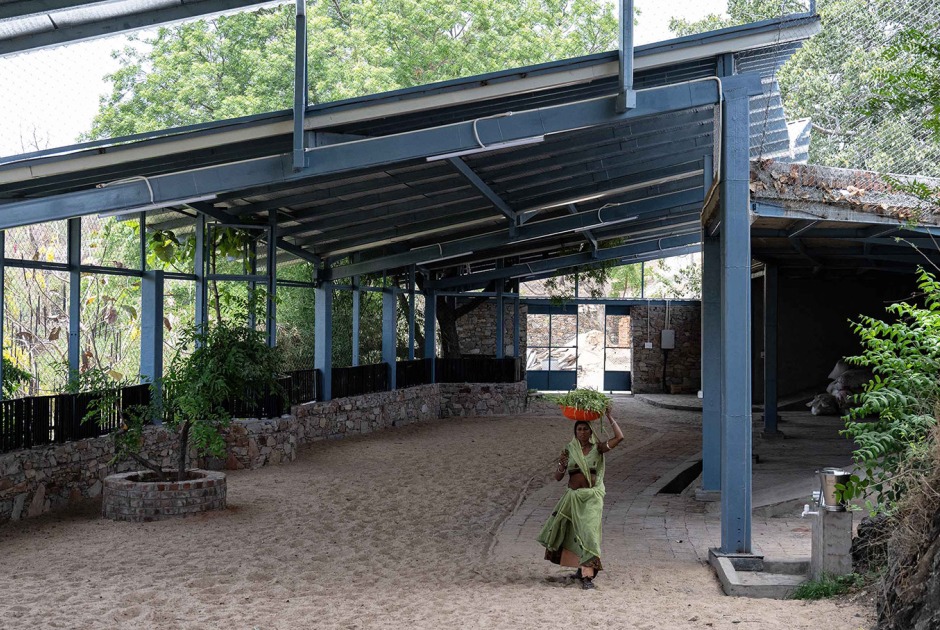 Cowshed by Studio SAAR. Photograph by Ananya Singhal, Studio Saar
