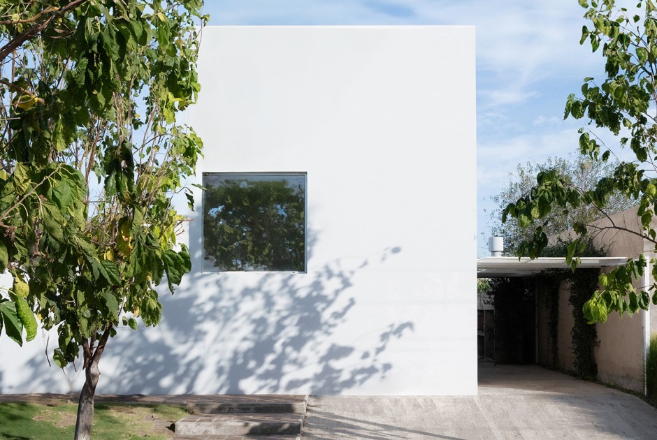 Casa para un árbol por Esteras Perrote. Fotografía por Juan Cruz Paredes
