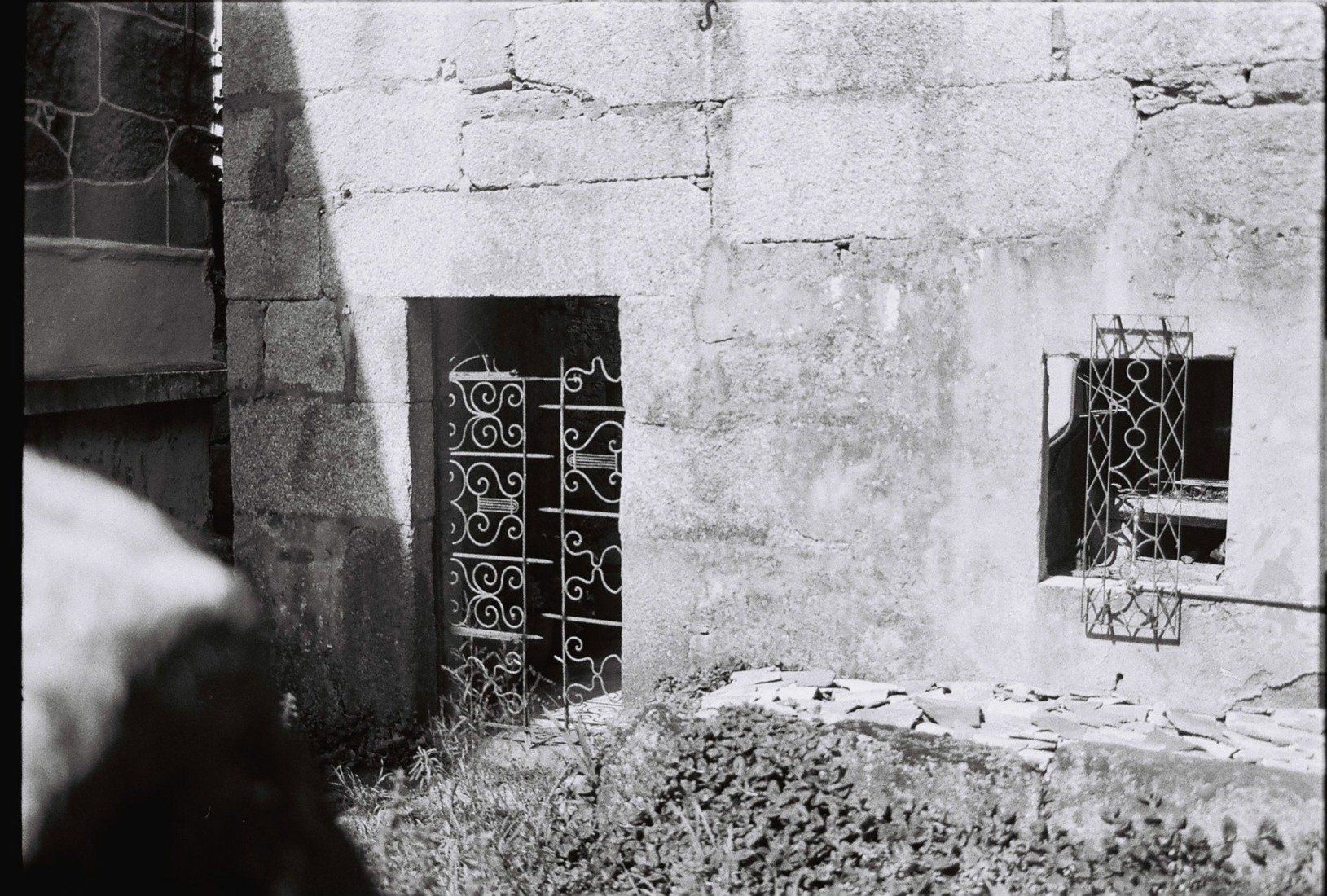The Garden of Panchés by Arturo Franco. Photograph by Arturo Franco.
