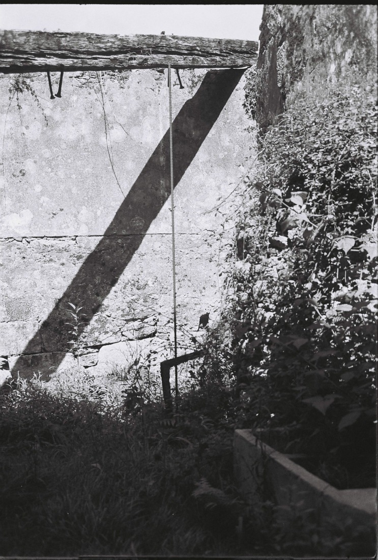 The Garden of Panchés by Arturo Franco. Photograph by Arturo Franco.