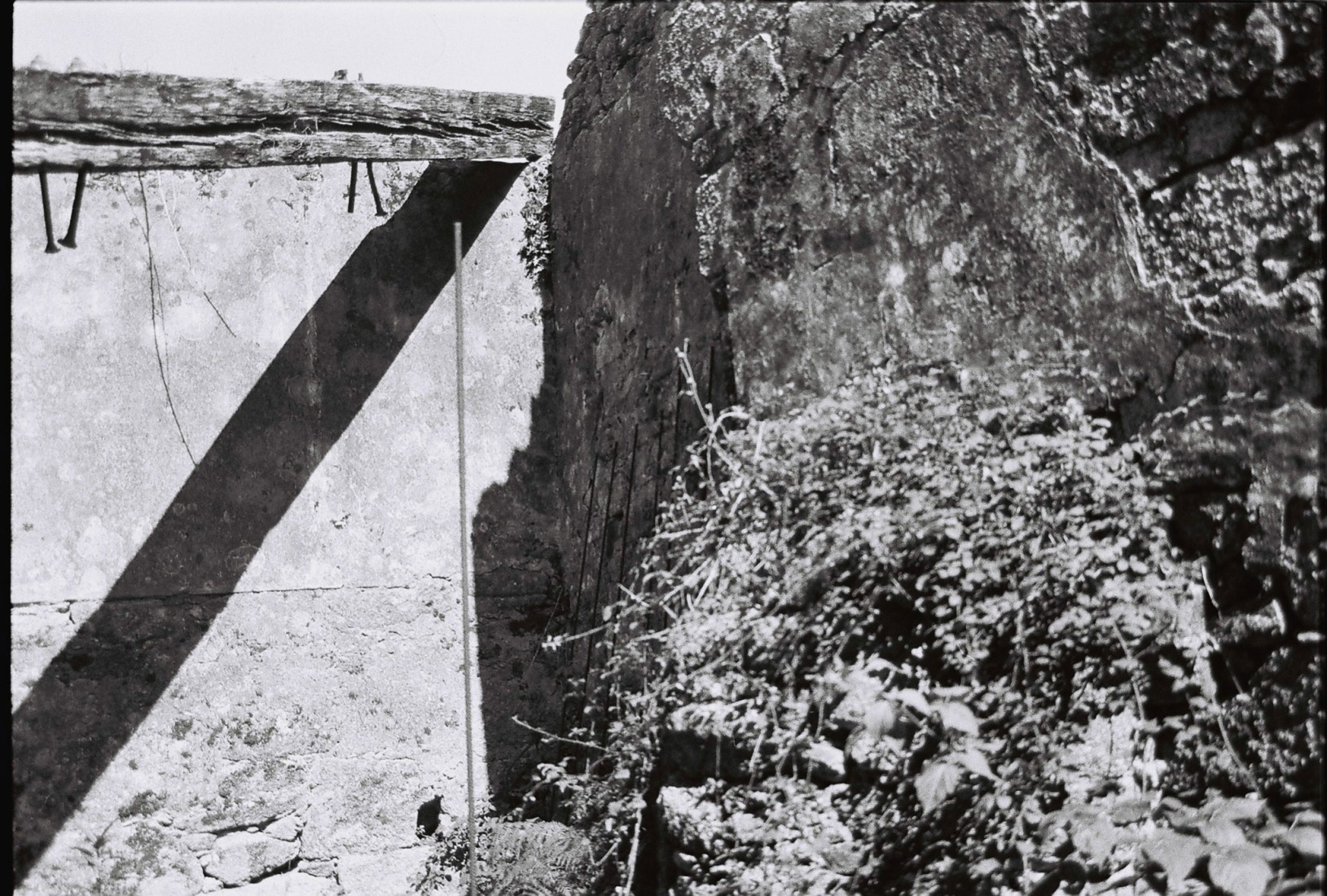 The Garden of Panchés by Arturo Franco. Photograph by Arturo Franco.