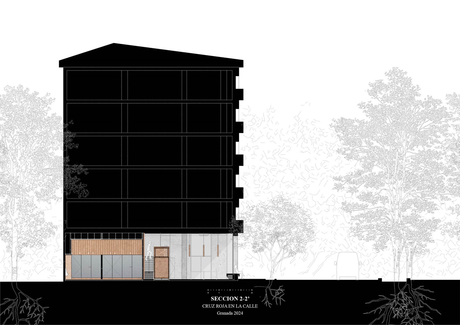 Section. A cardboard office by Tomás García Píriz Estudio.