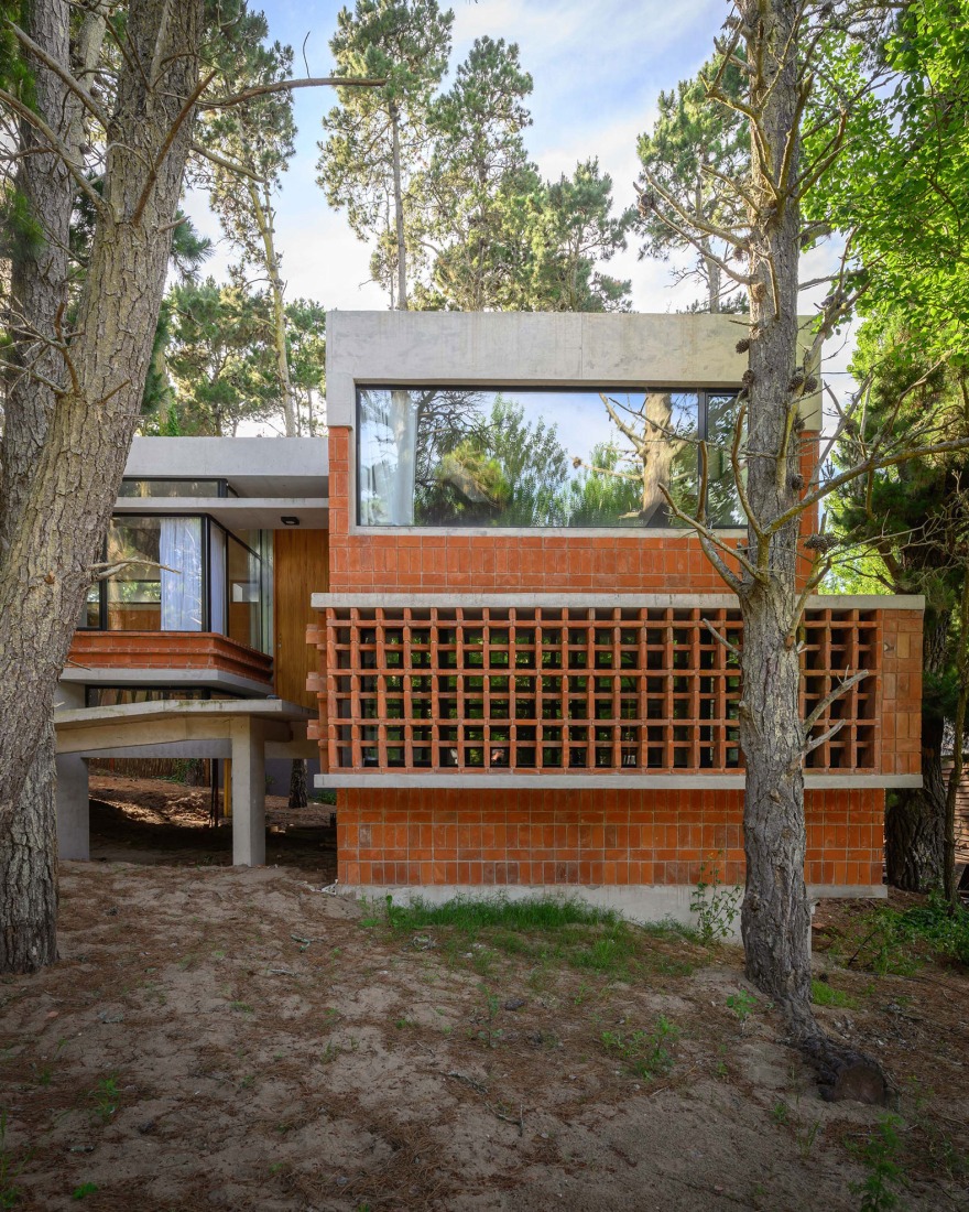 Forest Fruit House by Barrionuevo Villanueva Arquitectos. Photograph by Gonzalo Viramonte.  