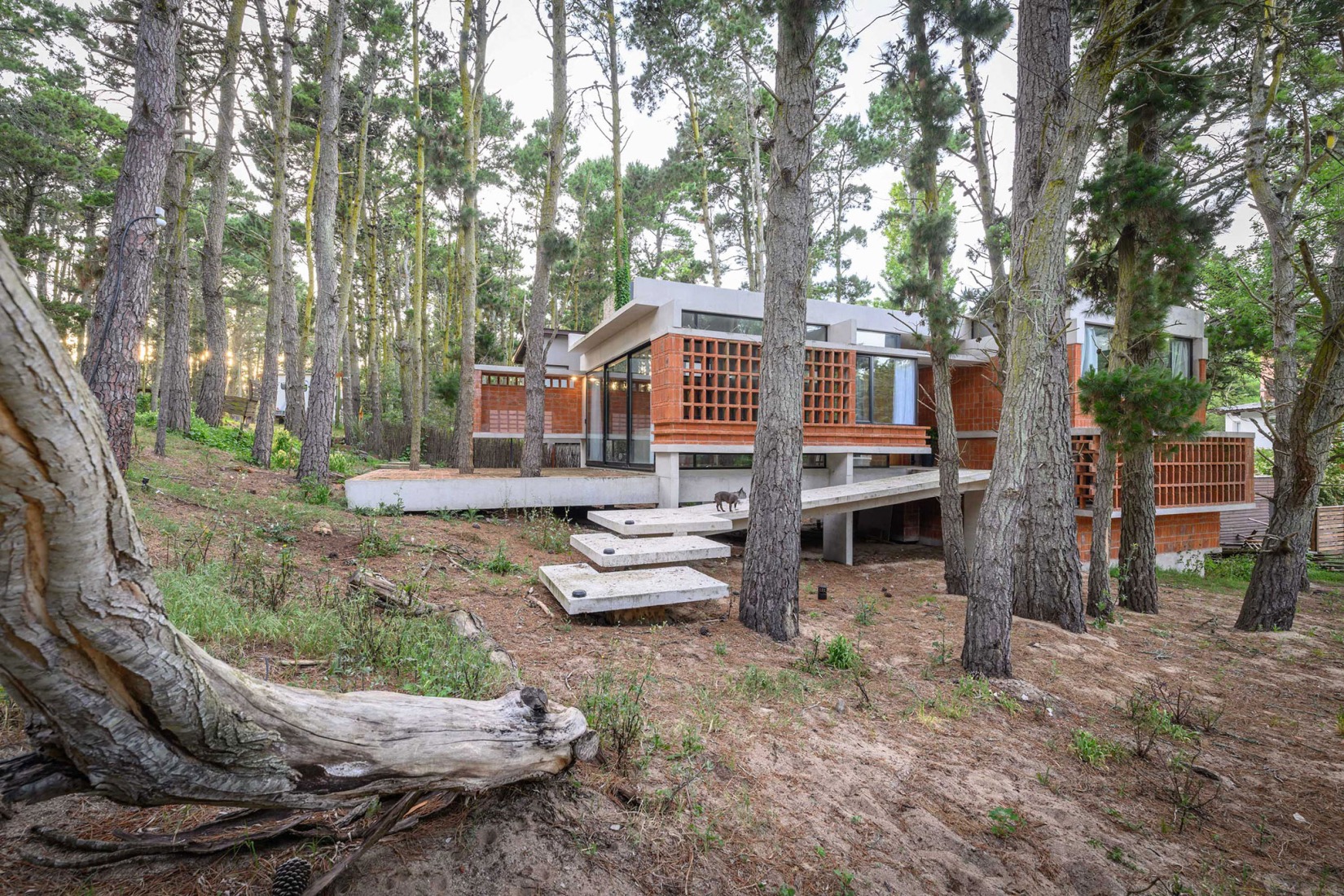 Forest Fruit House by Barrionuevo Villanueva Arquitectos. Photograph by Gonzalo Viramonte.  