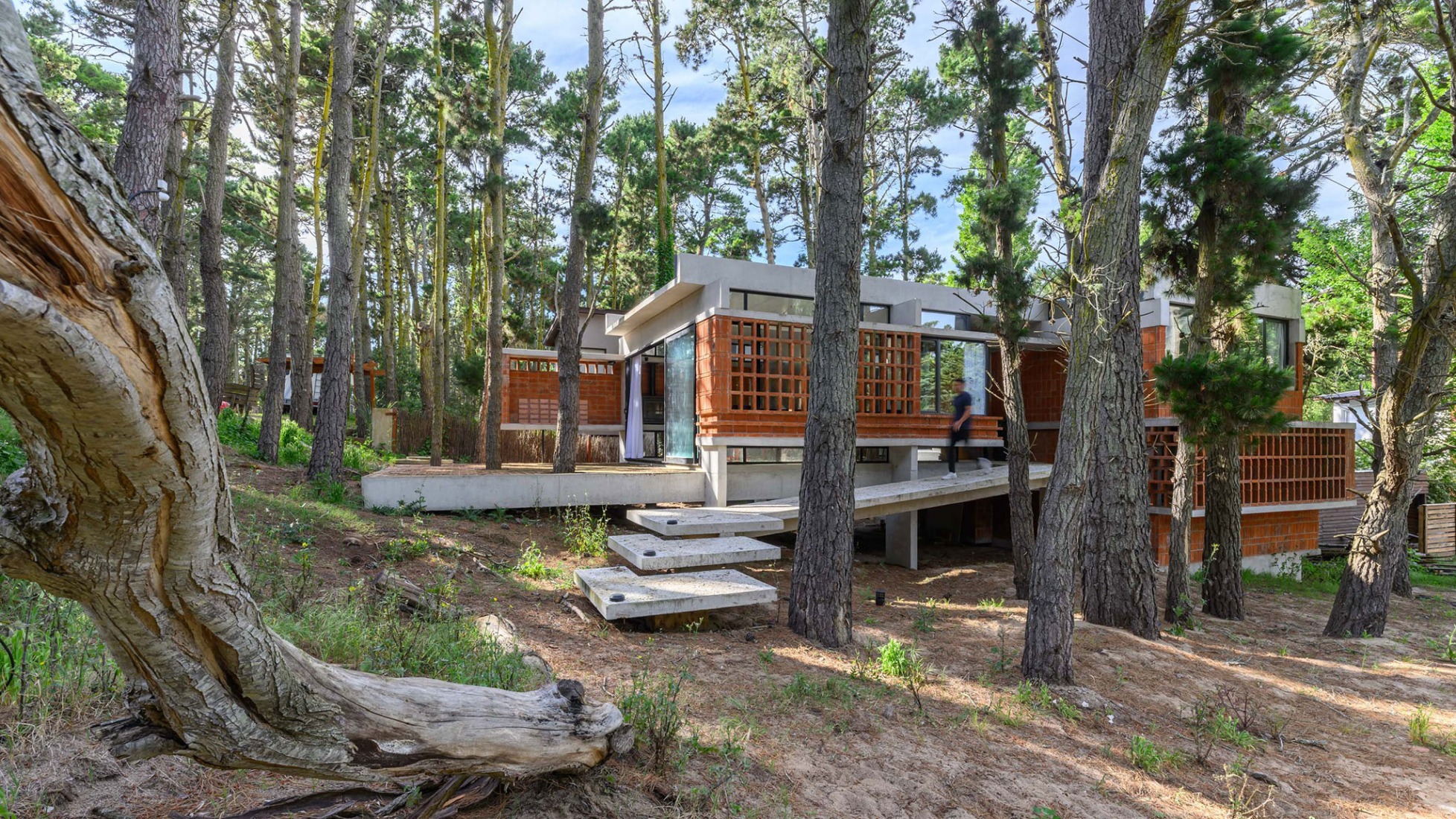 Forest Fruit House by Barrionuevo Villanueva Arquitectos. Photograph by Gonzalo Viramonte.  