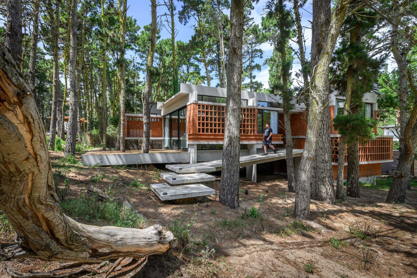 Forest Fruit House by Barrionuevo Villanueva Arquitectos. Photograph by Gonzalo Viramonte.  