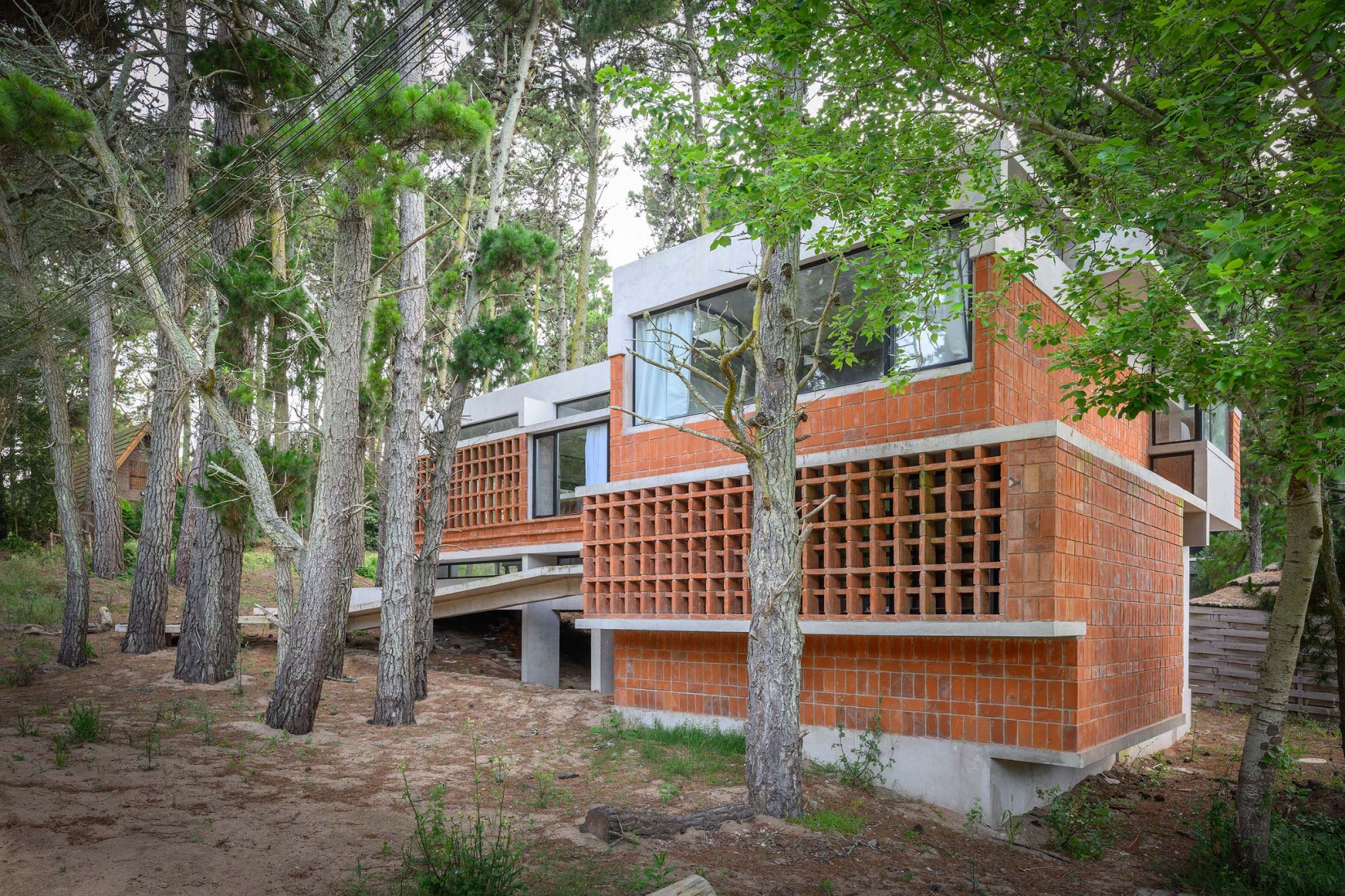 Forest Fruit House by Barrionuevo Villanueva Arquitectos. Photograph by Gonzalo Viramonte.  