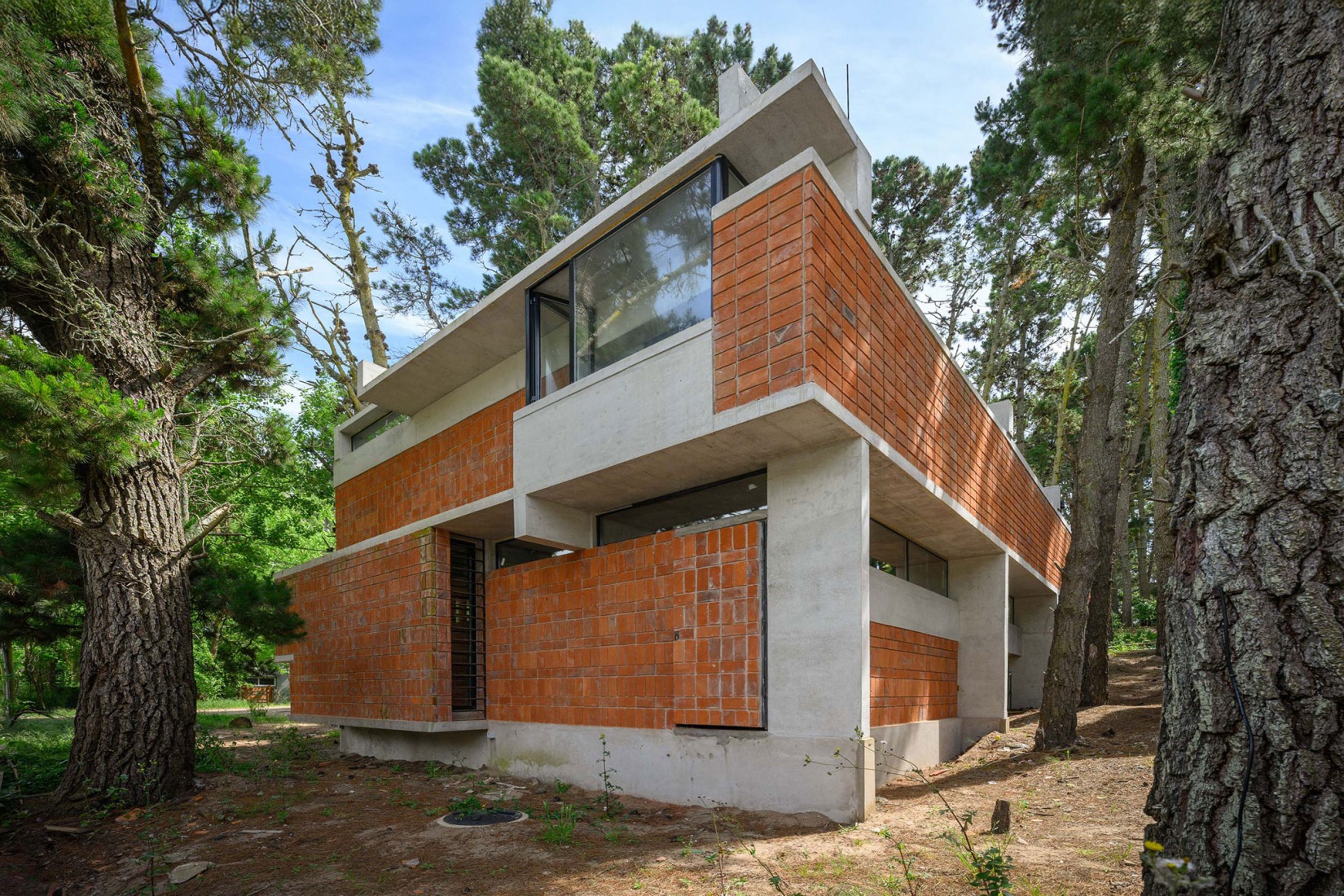 Forest Fruit House by Barrionuevo Villanueva Arquitectos. Photograph by Gonzalo Viramonte.  