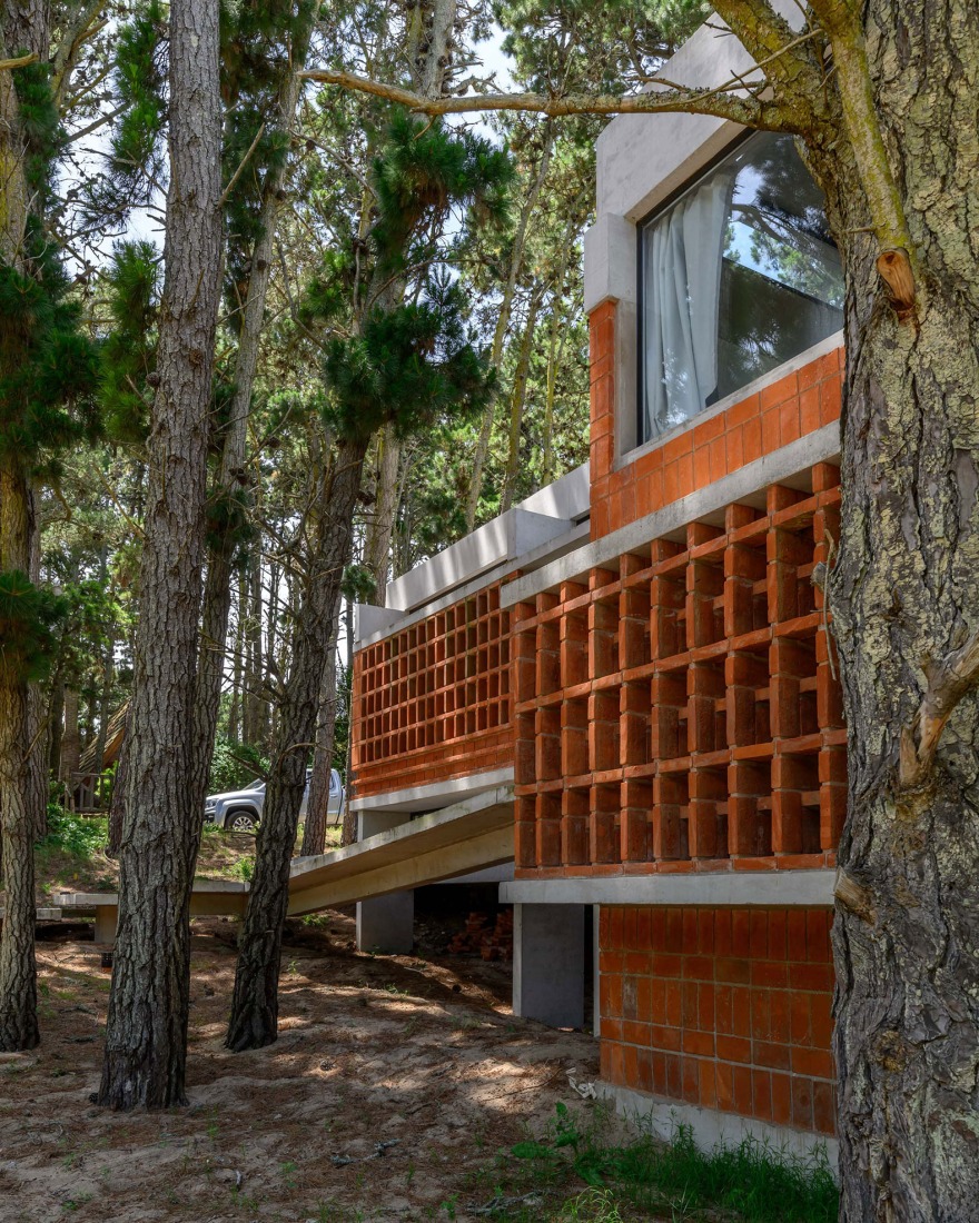 Forest Fruit House by Barrionuevo Villanueva Arquitectos. Photograph by Gonzalo Viramonte.  