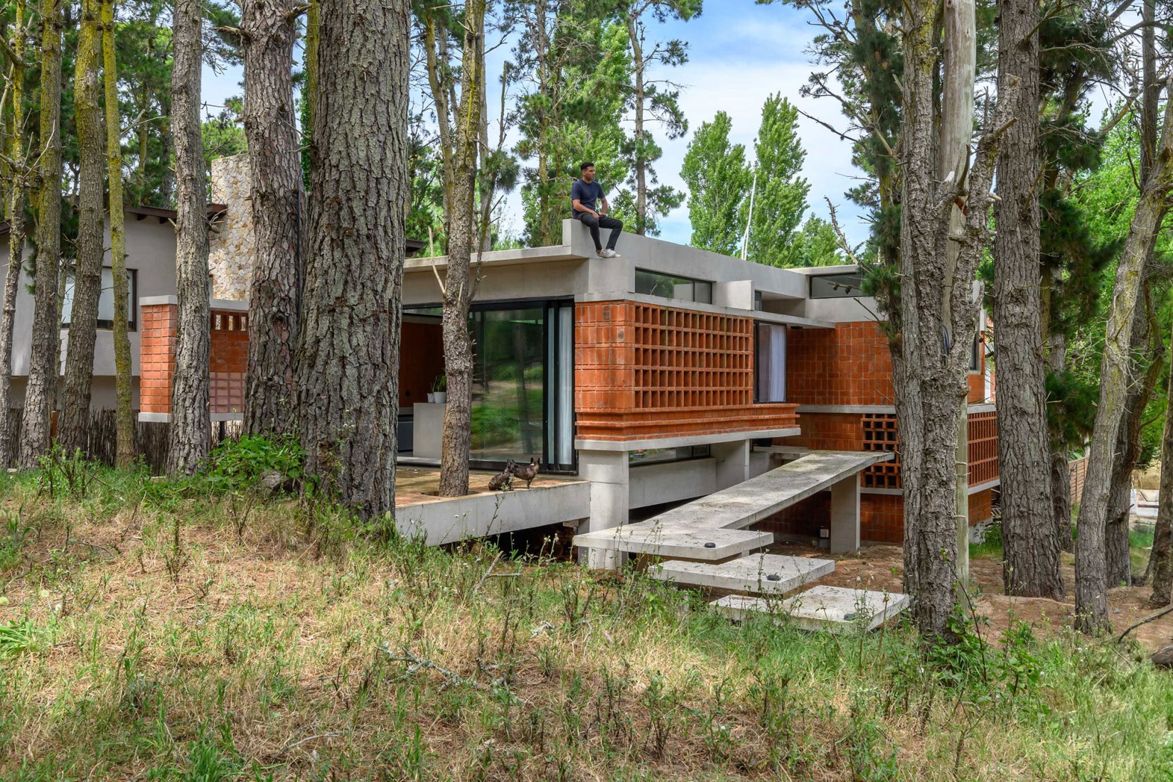 Forest Fruit House by Barrionuevo Villanueva Arquitectos. Photograph by Gonzalo Viramonte.  