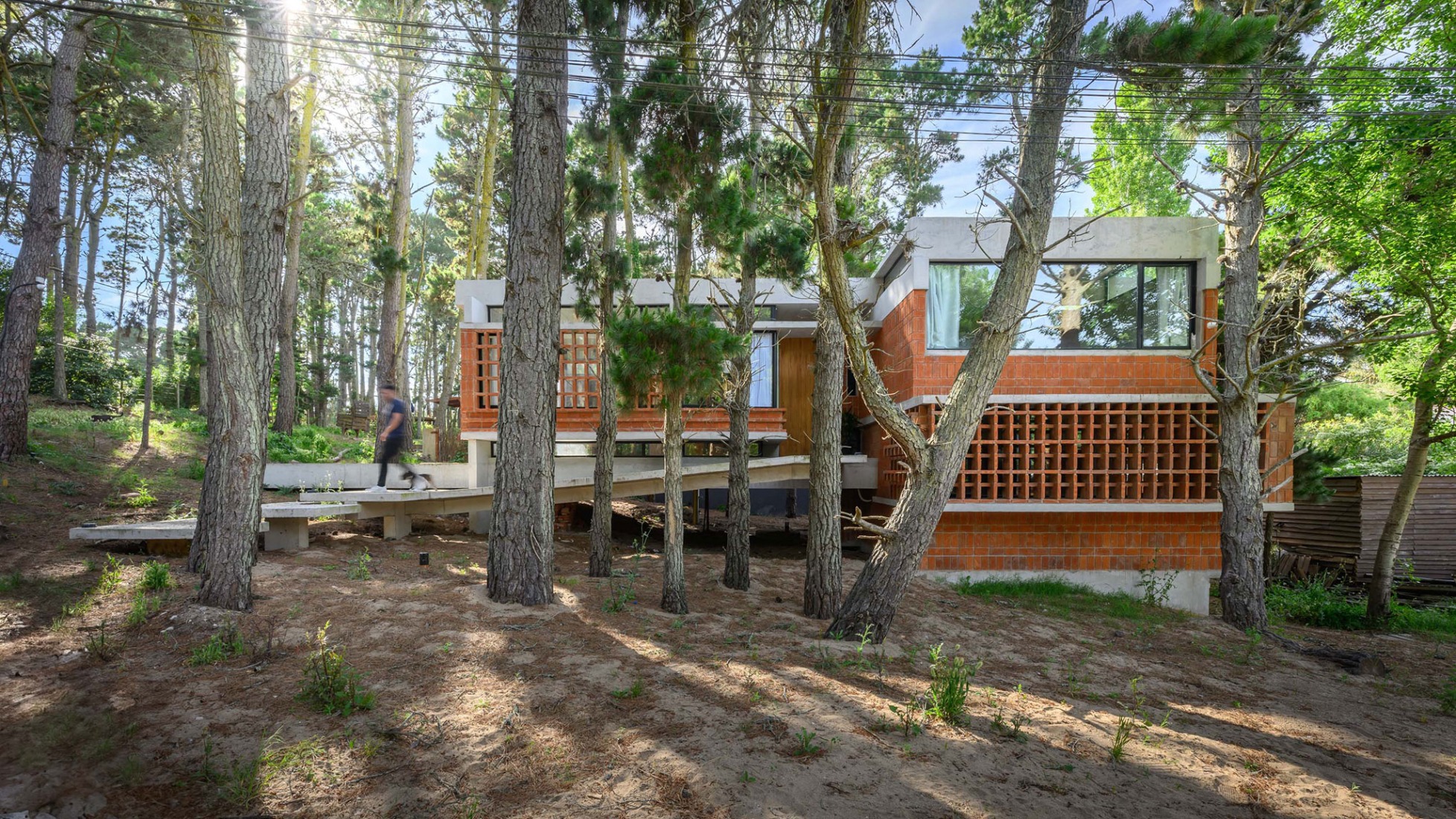 Forest Fruit House by Barrionuevo Villanueva Arquitectos. Photograph by Gonzalo Viramonte.  