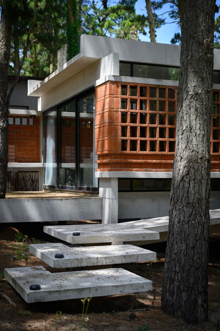 Forest Fruit House by Barrionuevo Villanueva Arquitectos. Photograph by Gonzalo Viramonte.  