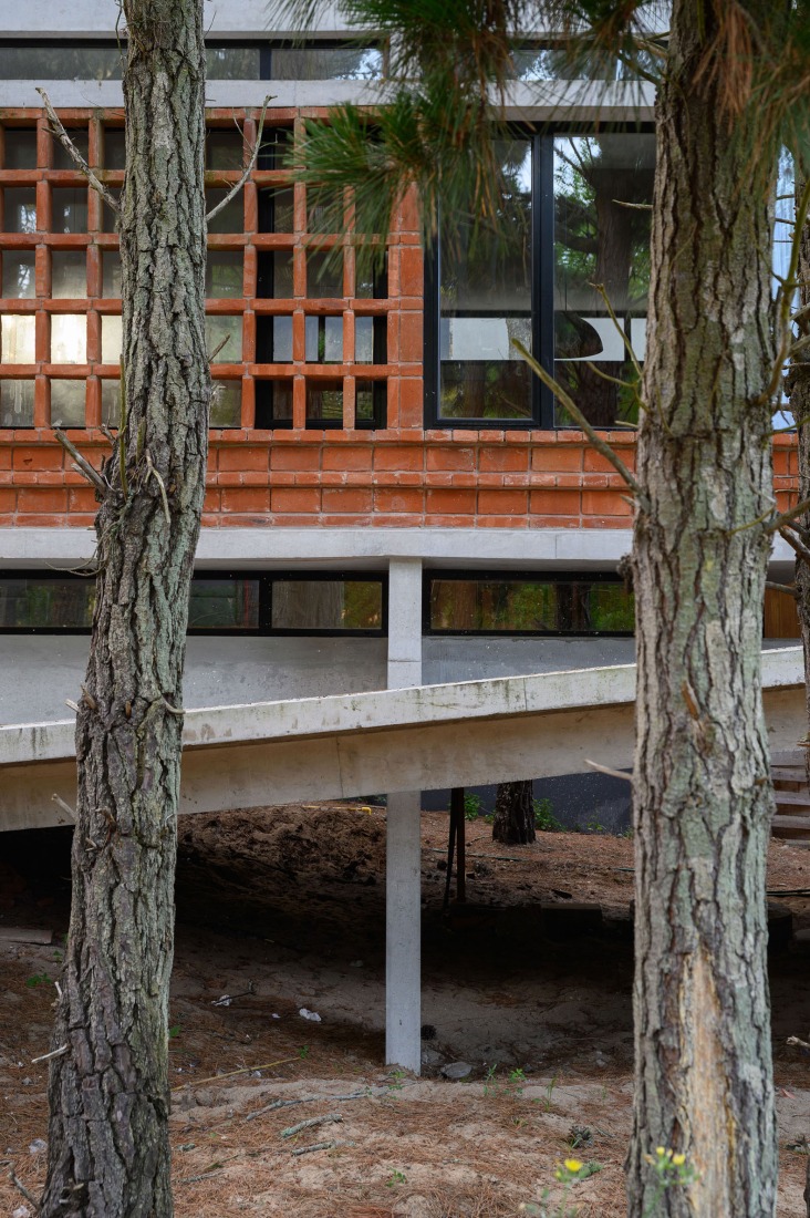 Forest Fruit House by Barrionuevo Villanueva Arquitectos. Photograph by Gonzalo Viramonte.  