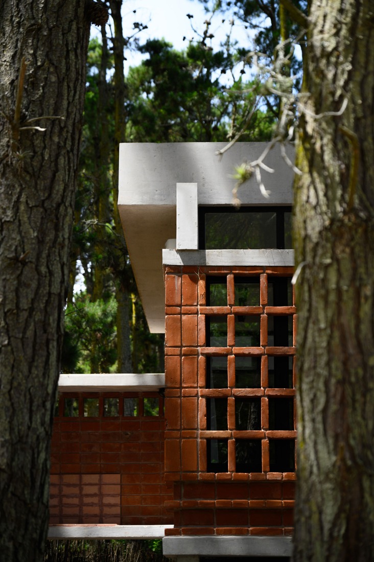 Forest Fruit House by Barrionuevo Villanueva Arquitectos. Photograph by Gonzalo Viramonte.  