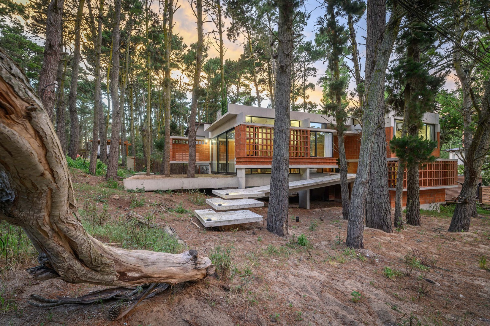 Forest Fruit House by Barrionuevo Villanueva Arquitectos. Photograph by Gonzalo Viramonte.  