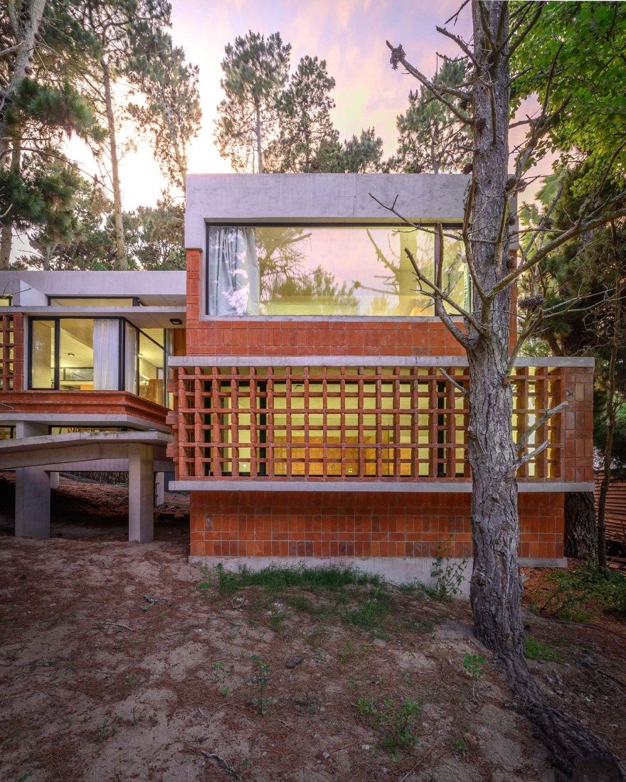 Forest Fruit House by Barrionuevo Villanueva Arquitectos. Photograph by Gonzalo Viramonte.  
