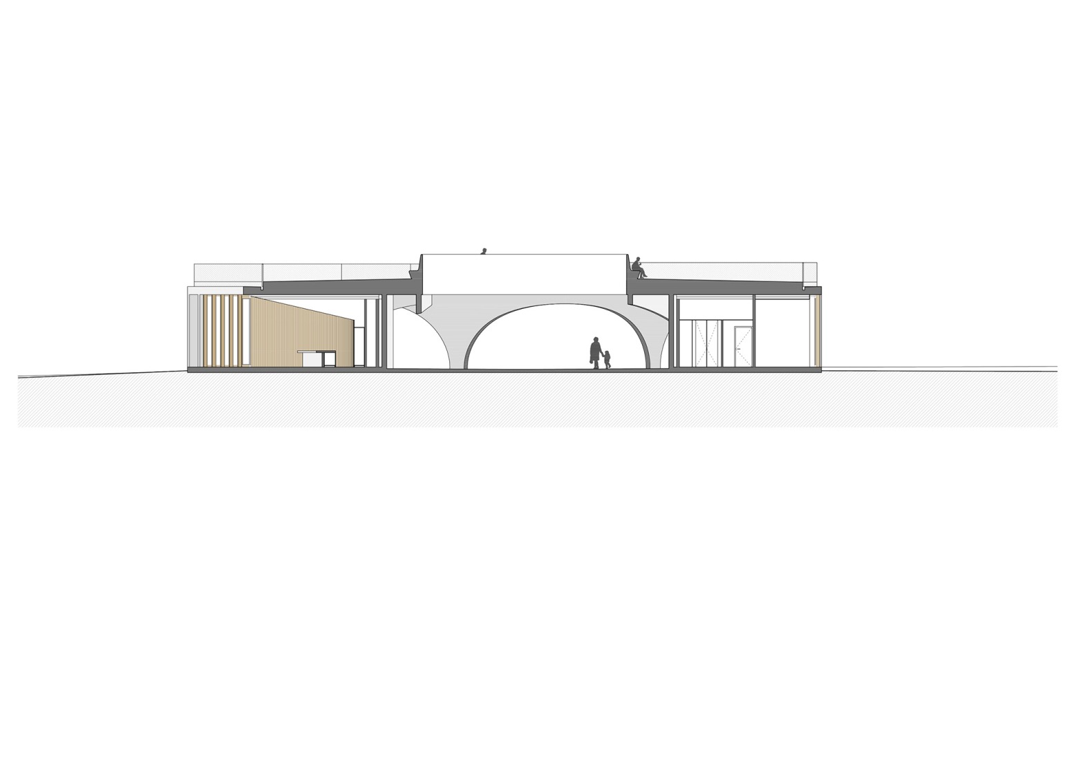 Long section. "La Biomista" Cosmopolitan Culture Park by Van Belle & Medina.