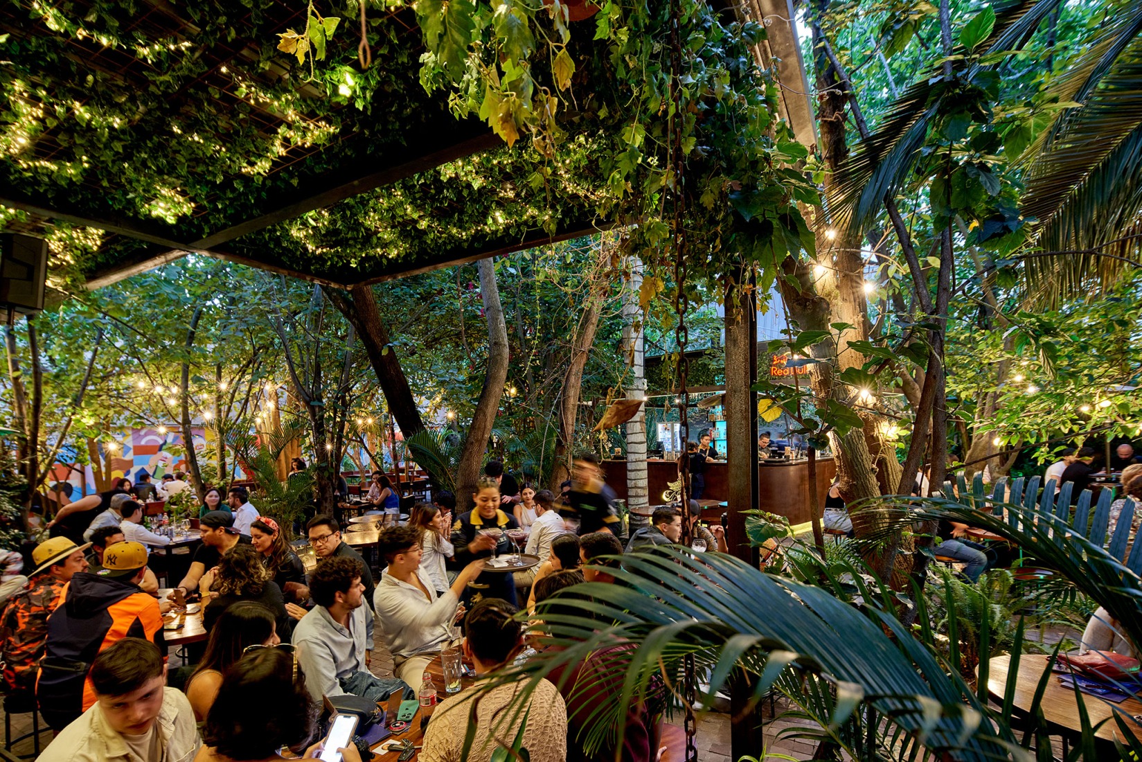Katari Cumbayá by TEC Taller EC. Photograph by Paolo Caicedo.