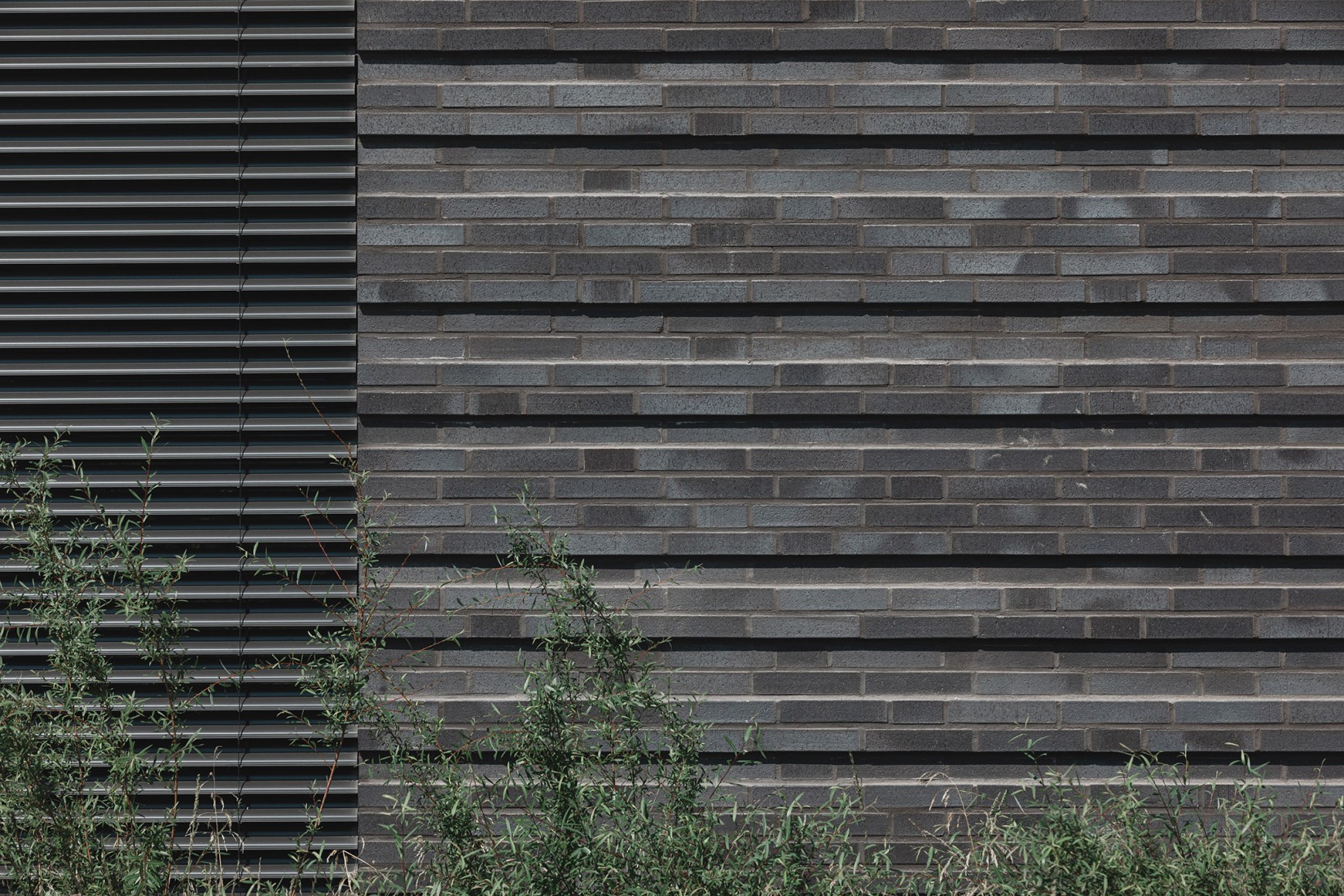 Havel primary school by Sulitze Muñoz Arquitectos + Magén Arquitectos. Photograph by Tjark Spille.