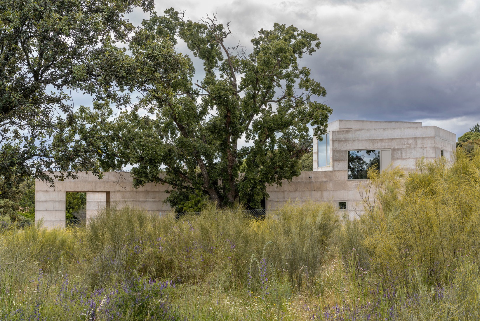 House X by Bojaus Arquitectura. Photograph by Luis Asín.