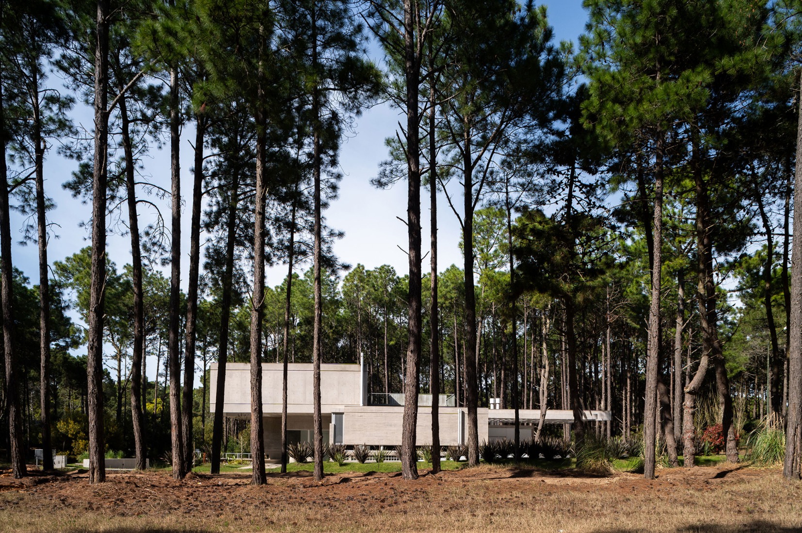 C&G House by Estudio Galera Arquitectura. Photograph by Diego Medina.