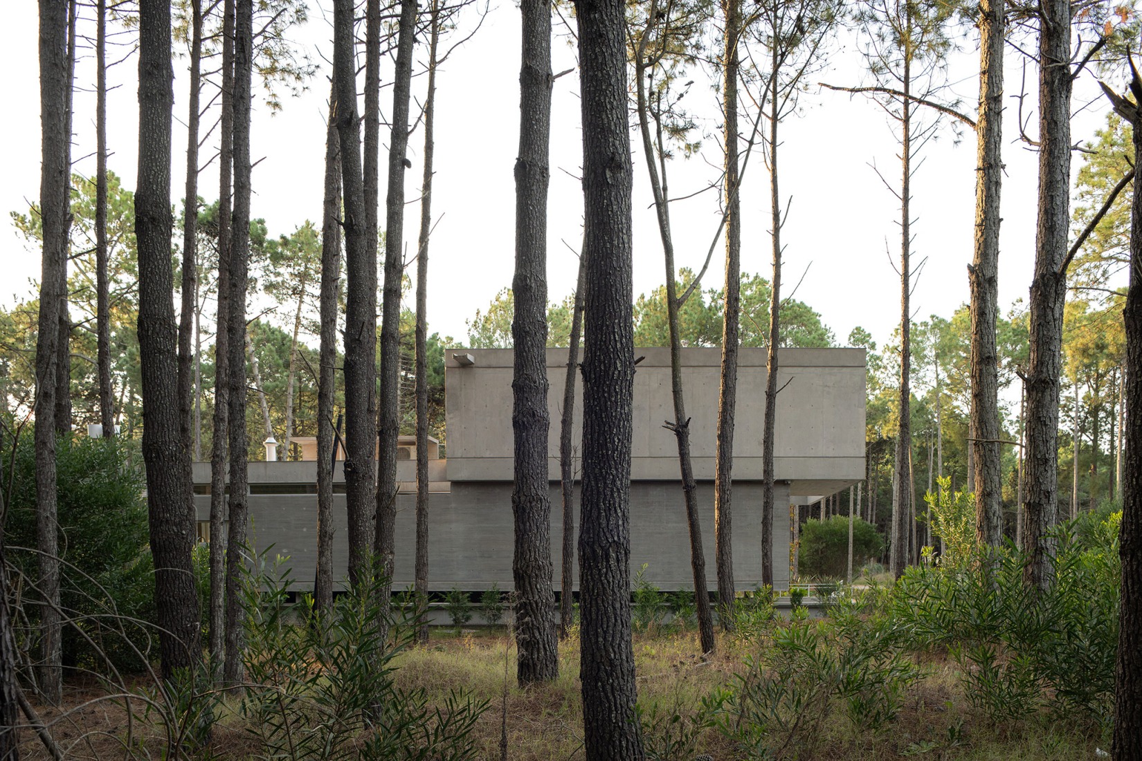 C&G House by Estudio Galera Arquitectura. Photograph by Diego Medina.